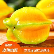 福建漳州甜楊桃5斤水果當季整箱洋桃鮮果新鮮紅揚桃五角下河楊桃5
