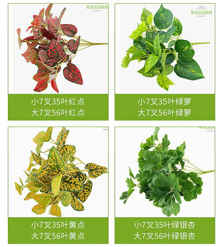 Flower potted plants, balcony ceiling, rattan green plants, indoor living room, desktop bonsai ornaments