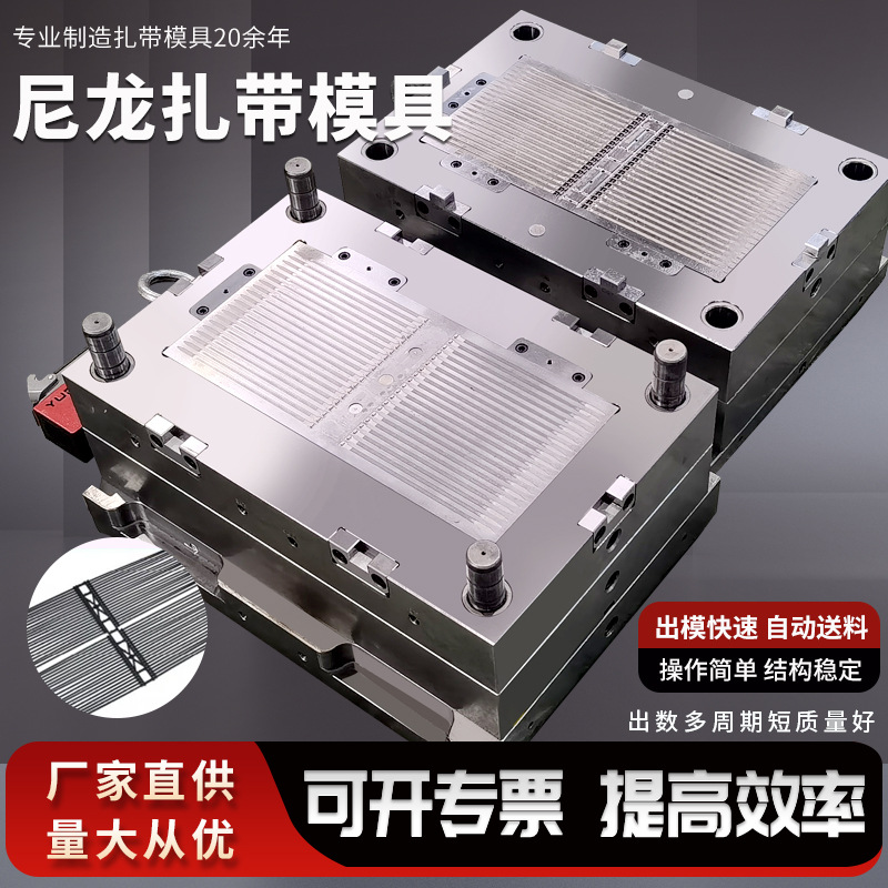 乐清博锐扎带模具 专业制造高精密汽车扎带模具 各种尼龙扎带模具