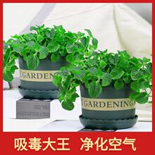 �����������҃�ֲ���·��Gֲ���B���ļ����Ե��m�͏d���ܱ������