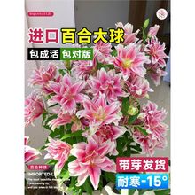 �ذ���ˮ�ٺϷN�򎧻����ļ��_���҃����̨�����ͺ����B�ش�N��