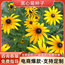 ľշNӽջNӶͺļN׻ͥԺֲﻨ