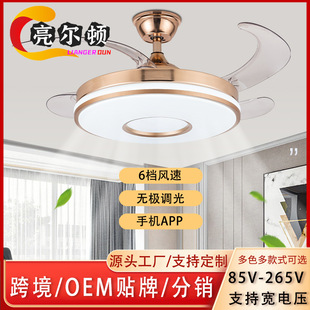 Electric Fan Chandelier, Variable Frequency Fan Lamp, Living Room and Dining Room, High Wind Power, Bedroom Lighting with Integrated Electric Fan, Nordic Style