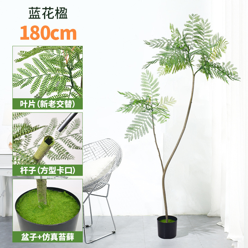 蓝花楹仿真绿植落地盆栽仿生植物摆件室内客厅沙发旁装饰盆景假树|undefined