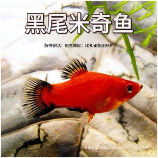 ���N��β�����~̥���tƤ��t̫���С���^�p�~��������]���]