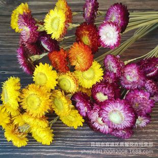 ��ϸɻ�   �Ҿ��b� ������/�߲ʾ�/��ʾ�/С�r��