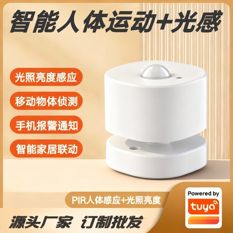 Graffiti scheme smart home alarm system PIR intelligent human motion sensor light brightness sensor