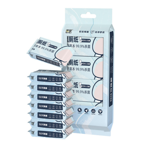 Wholesale mini wet toilet paper, portable maternal and child wet wipes, flushable toilet private parts care, butt cleaning wet toilet wipes