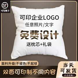 定制抱枕可印LOGO来图双面印花抱枕被DIY沙发靠垫定做创意印花