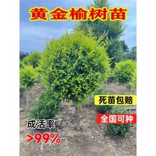 ~ܘX~ܘ繤̈@־GľͥԺL