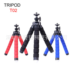 ���ް�צ�~����֧�� �m��추z���^ 1/4�ݽz��  �ɷ�������