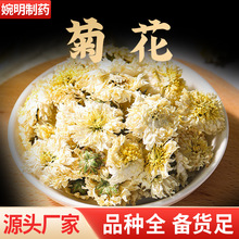 菊花 杭菊 贡菊 野菊花 胎菊 雪菊 器材菊中药材菊花 万寿菊菊花