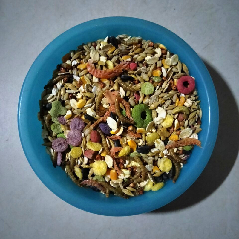 QQ图片20211121174909_副本