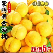 ����S�����S�����ң����ģ�����ɿڬFժ�F�lһ�����l