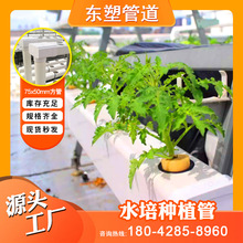 pvcˮNֲܴo75*50ˮܵ