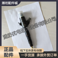 潍柴道依茨WP6柴油发动机压路机拖拉机原厂电喷喷油器1000174120