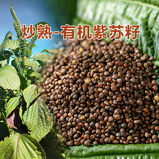 ���ЙC���K��-ͨ�^570��r���z�y�pɫ���K���W�決ʳ250g/��