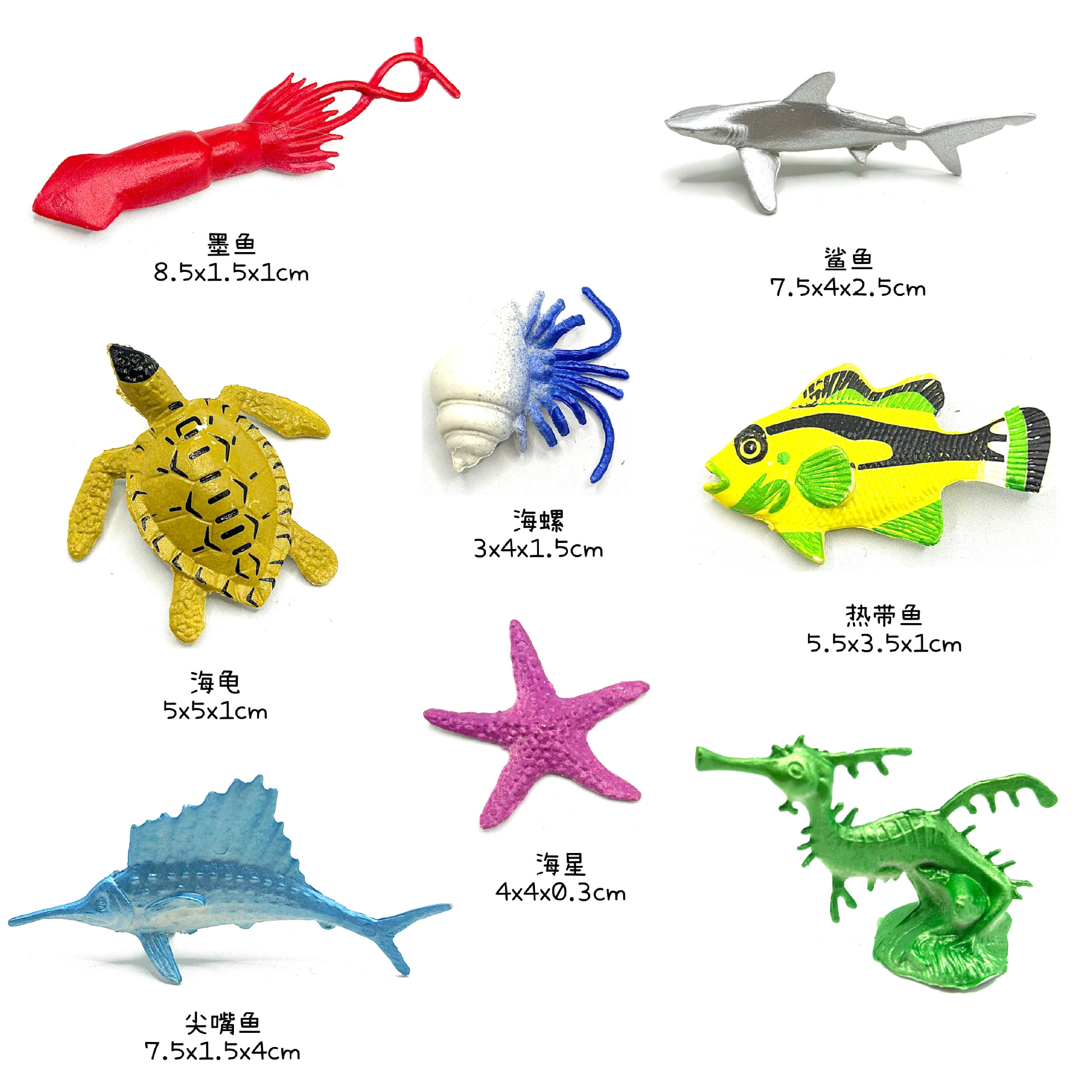 Marine animals (starfish group)