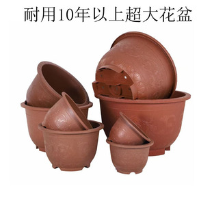 �Ӻ��ش����ϻ���ͥԺ�Nֲ�F���辰���a�������׻���ˤ��������