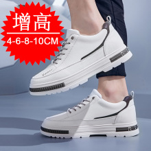 ļ¿Ь8cmаЬ6eЬ[΃ЬСЬ\Ь