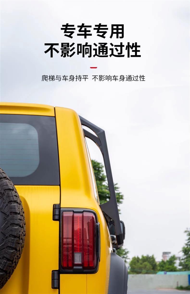 Tank 300 Roof Rack Modification Side Ladder Net Pocket Sunken Luggage Frame Side Tent Spare Tire Small Backpack