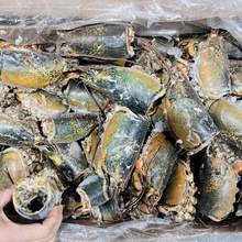 【龙虾头】加拿大进口波龙头 熬汤做酱用冷冻加拿大波士顿龙虾头