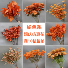 cɫϵĽɫY鱳·廨Yb