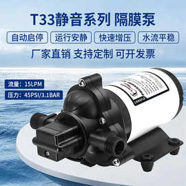 33小型电动隔膜泵房车游艇水泵加压力罐稳压供水系统增压自吸水泵