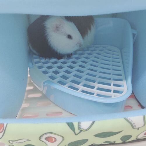 Rabbit shelter hedgehog guinea pig bottomless nest can be placed in the toilet nest hamster nest small pet hiding house