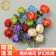 3�^����õ�����õ�廨���滨�ٻ�õ��[�������b����߼��н�