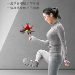 Manufacturer student competition colorful feather shuttlecock adult and children fitness goose feather shuttlecock primary and secondary school large flower shuttlecock