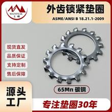 美标65Mn外齿垫圈镀锌防滑止动垫片高强度锁紧环保花齿齿轮多规格