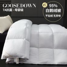 羽绒被95白鹅绒被子加厚保暖冬被春秋被空调被单双人宿舍被子