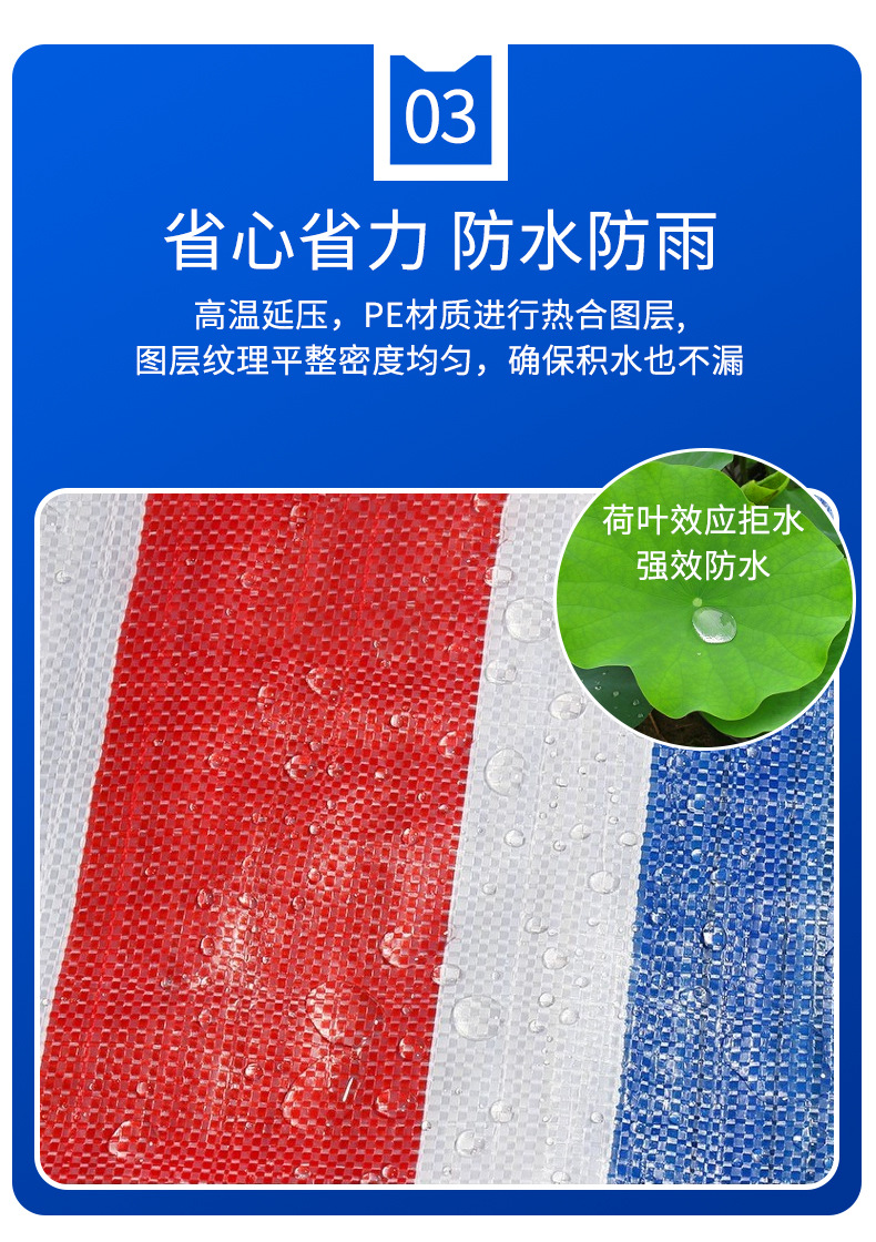 金农-三色彩条布_07