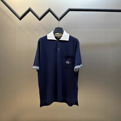 正しいバージョンの高品質Dファミリーの新しい刺繍入りウールポロシャツ半袖Tシャツ、ファッショナブルで多用途、男性と女性向けの同じスタイル