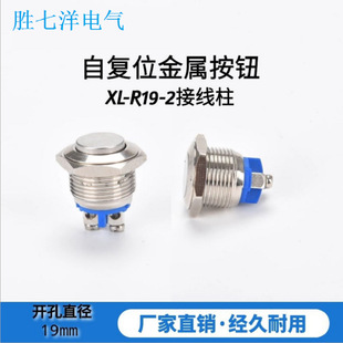 �Ӿ����������ٰ��o19mm�ԏ�λ���_12-24V�T���_�P