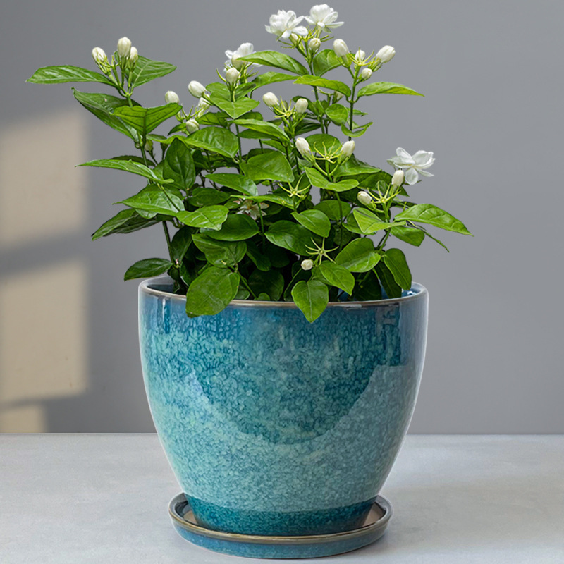 厚みのある植木鉢セラミック家庭用分割トレイ付き特大デスクトップ花ポトスオーキア多肉植物グリーンストレート|undefined