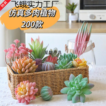 ֲins˻΢^쾰Gֲ҃ȼҾbƷС[