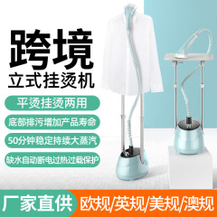 国境を越えてアイロンをかけることができる家庭用は、横になることができる蒸気アイロンの手が同じで、掛け式アイロン服の小型アイロンをかけることができる