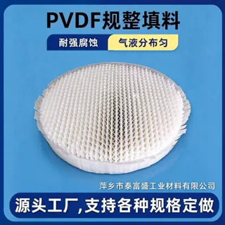 PVDF 孔板波纹规整填料 聚偏氟乙烯波纹填料 耐强腐蚀化工塔精馏