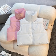 亚马逊欧美外贸批发2025秋冬女装马甲坎肩五色短款无袖棉服背心女