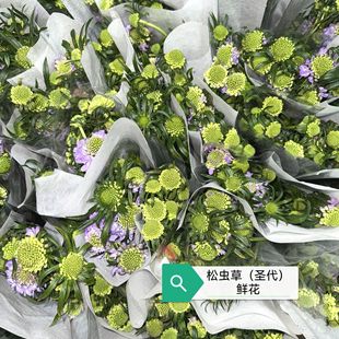 Sunflower Grass Flowers Sundae Flowers Yunnan Kunming Dounan Base Direct Delivery Wedding Flower Shop Home Use Flower Cold Chain Transportation