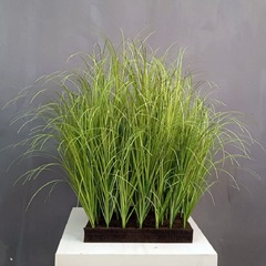 卸売りの葦の草は蒲葦の植物の壁をシミュレーションして景を装飾します。