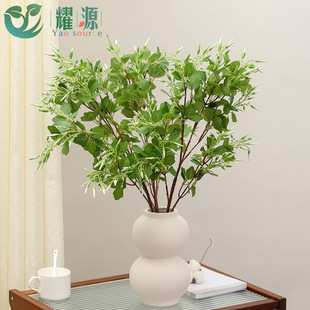 ҹ֦Ҿ҃[YGֲzӰĔzֲ