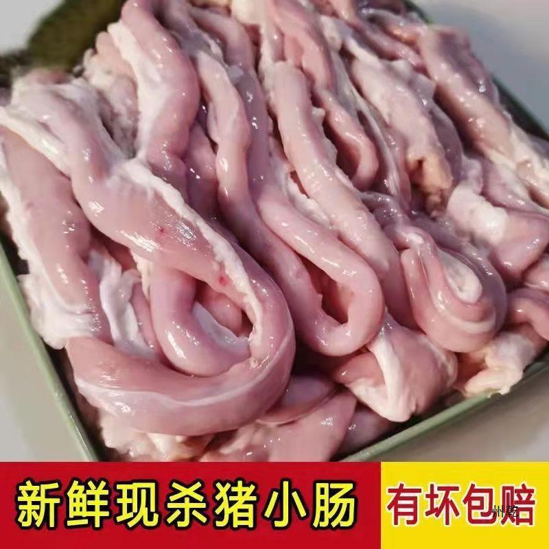新鲜猪小肠冒节子肥肠冷冻粉肠圈圈肠生苦肠十二指肠火锅烧烤食材