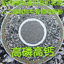 骨粒粉 骨粒粉品牌 图片 价格 骨粒粉批发 阿里巴巴