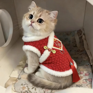 С؈���·���������̽����ֱ���Ӣ�̲�ż��u�ӷ���ë�ӽq��ů��