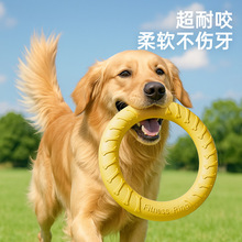 �������EVD�����w�P����Ȯ߅����ë�����␞���С�����ҧ����