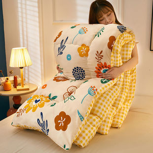 Thickened Winter Quilt with Warm Quilt Core, Suitable for All Seasons, Spring and Autumn Quilt, Winter Single or Double Student Dormitory Quilt