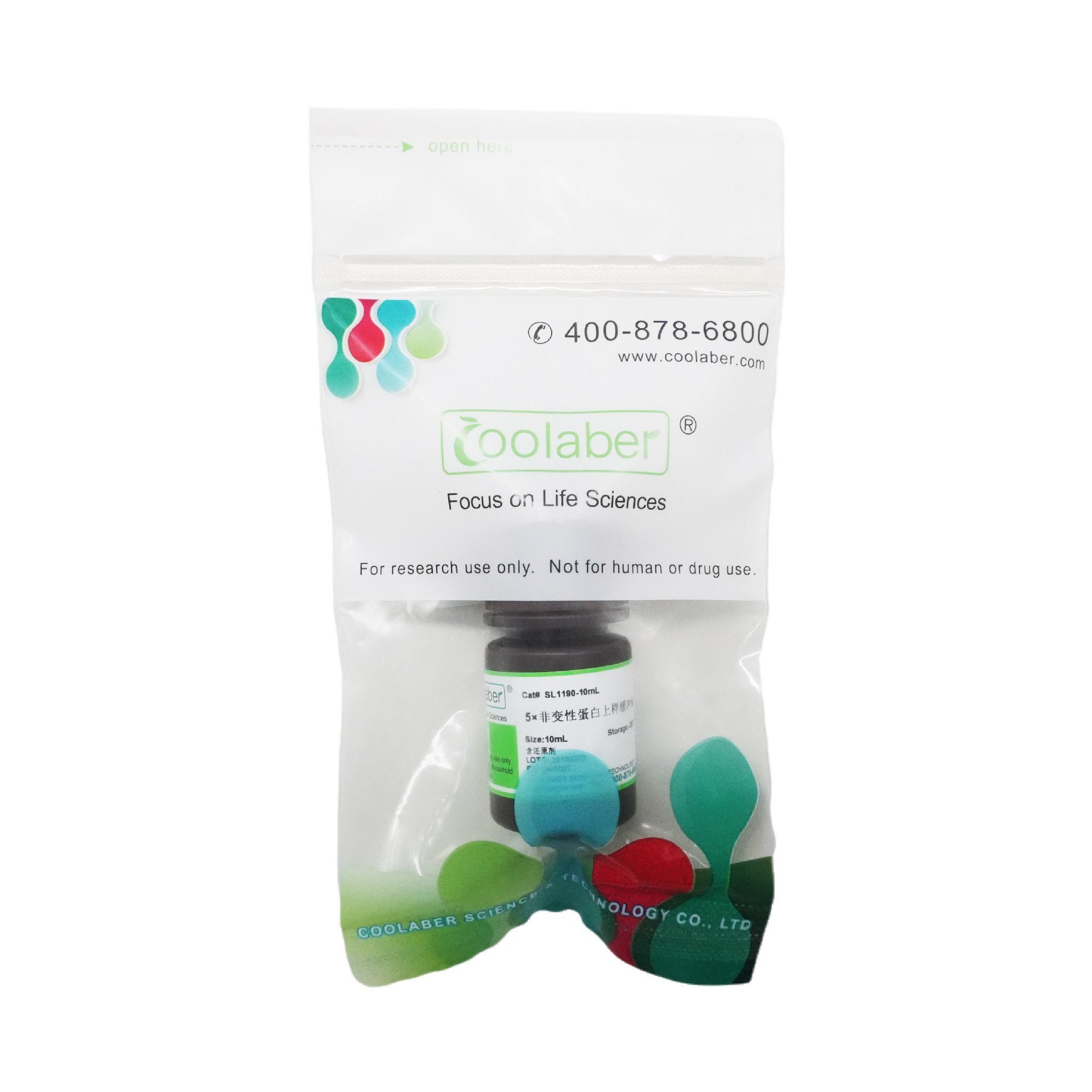 5×非变性蛋白上样缓冲液